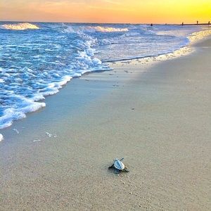 Meet your Posher, Michaela